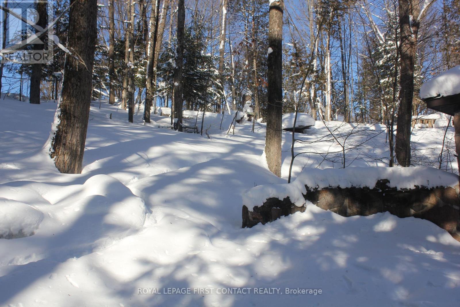 47 Riverside Drive, Dysart Et Al, Ontario  K0M 1S0 - Photo 7 - X12736762