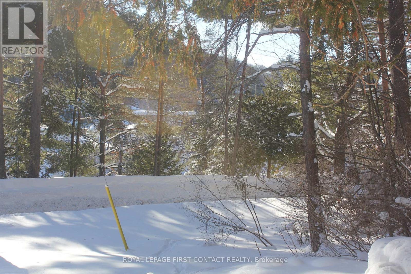 47 Riverside Drive, Dysart Et Al, Ontario  K0M 1S0 - Photo 8 - X12736762