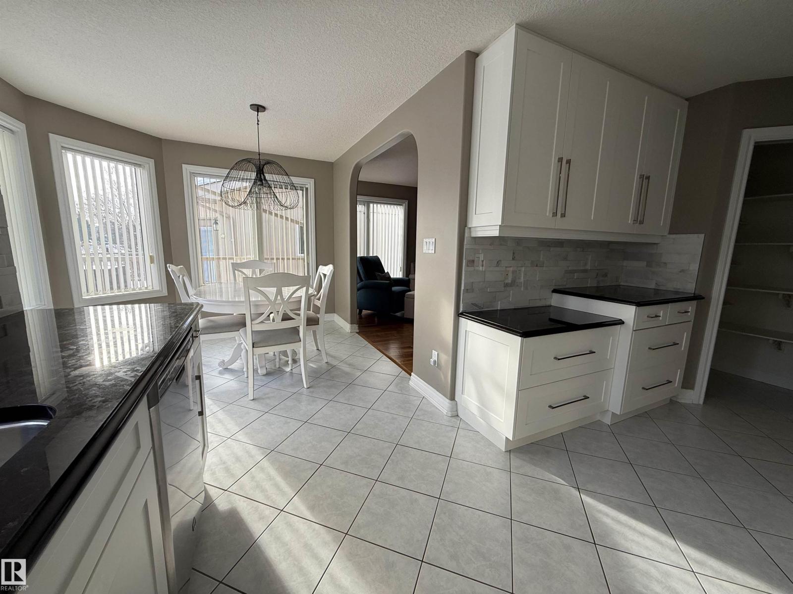 17 925 Picard Dr Nw, Edmonton, Alberta  T5T 6H3 - Photo 10 - E4471253