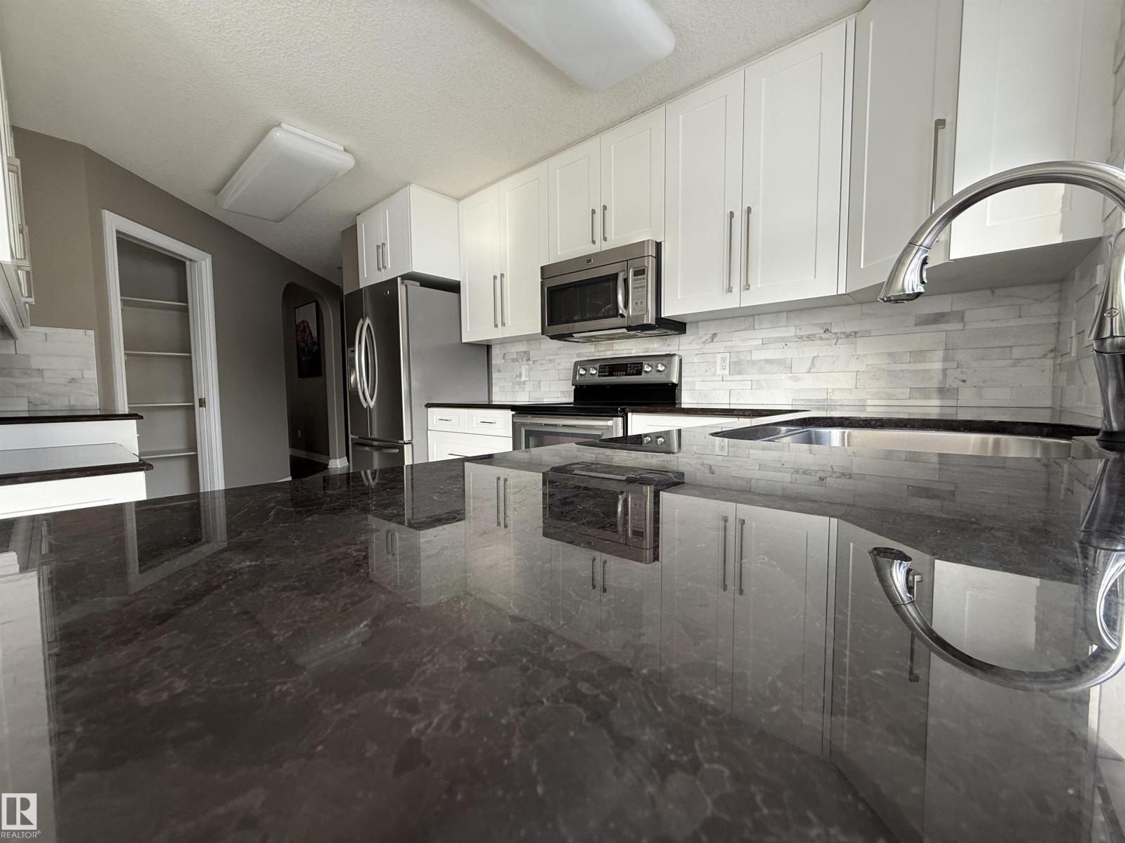 17 925 Picard Dr Nw, Edmonton, Alberta  T5T 6H3 - Photo 13 - E4471253