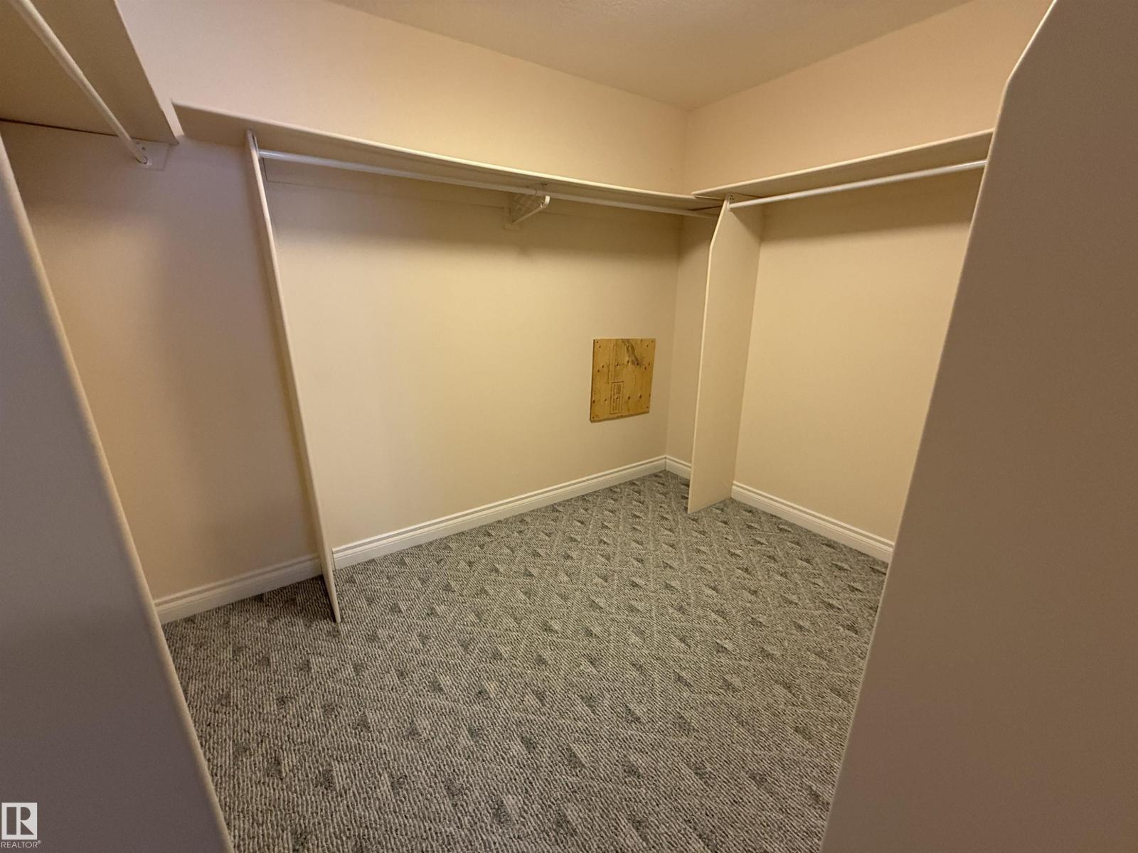 17 925 Picard Dr Nw, Edmonton, Alberta  T5T 6H3 - Photo 36 - E4471253