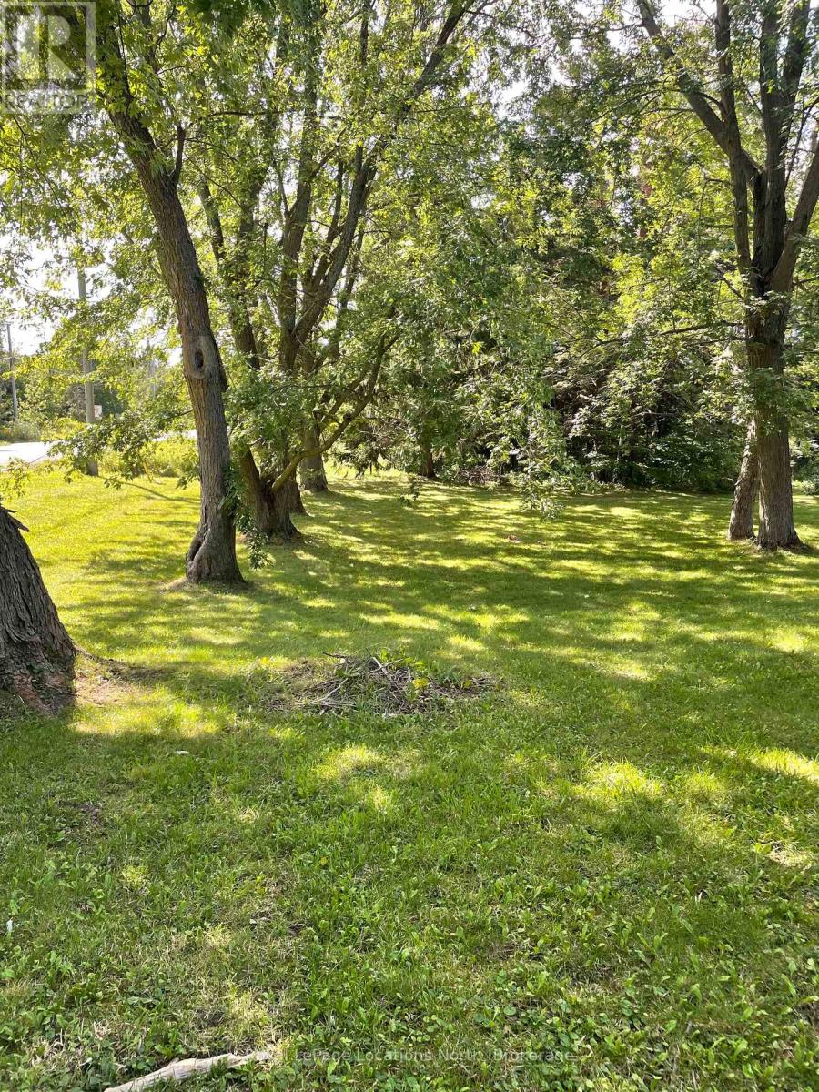 9038 County Rd 91 Road, Clearview, Ontario  L0M 1H0 - Photo 16 - S12736118