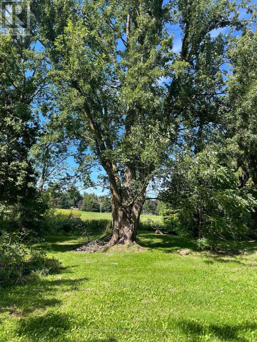 9038 County Rd 91 Road, Clearview, Ontario  L0M 1H0 - Photo 17 - S12736118