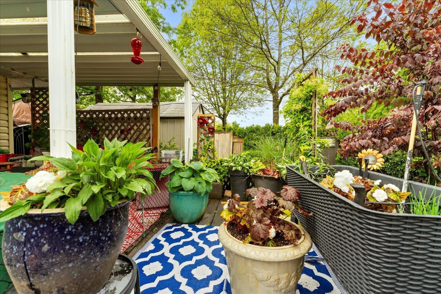 22141 Old Yale Road, Langley, British Columbia  V2Z 1A3 - Photo 32 - R3077747