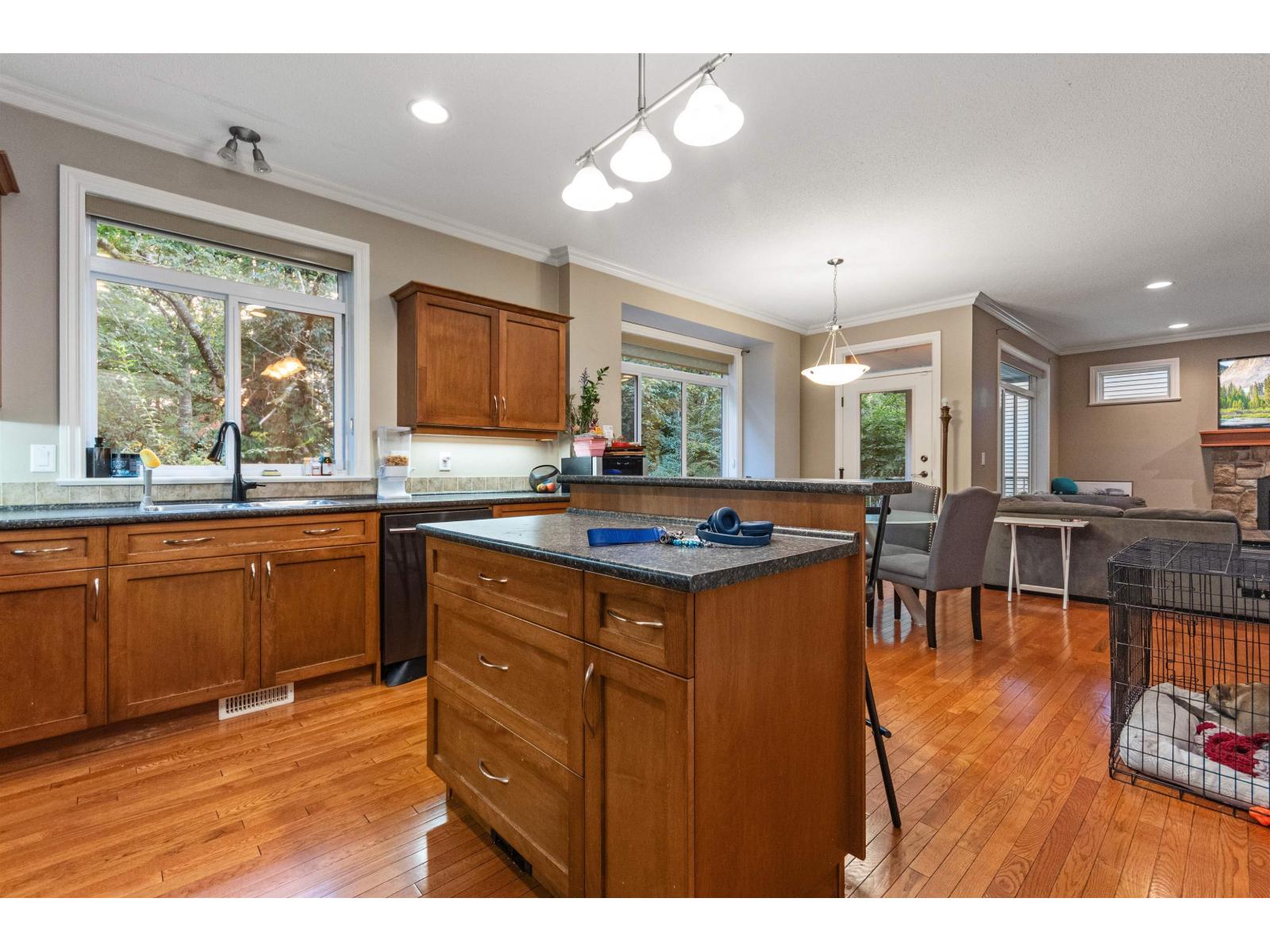 5583 Thom Creek Drive, Promontory, Chilliwack, British Columbia  V2R 5Z6 - Photo 13 - R3083410