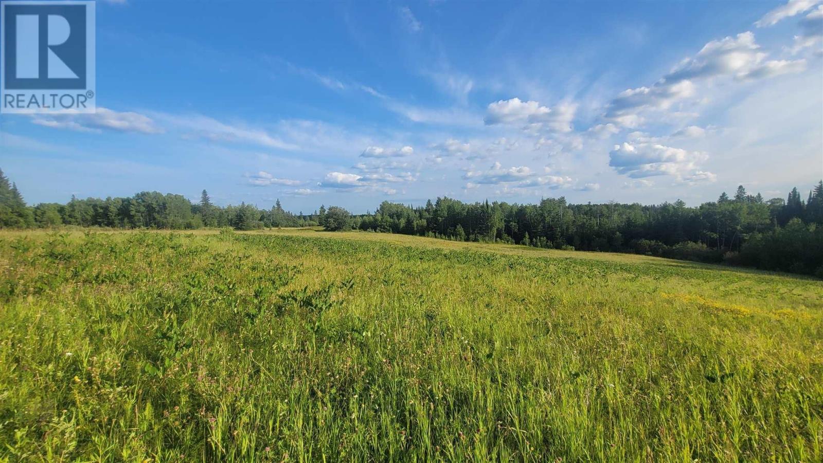 0 Ascough Rd, Kenora, Ontario  P9N 1H4 - Photo 5 - TB2600138