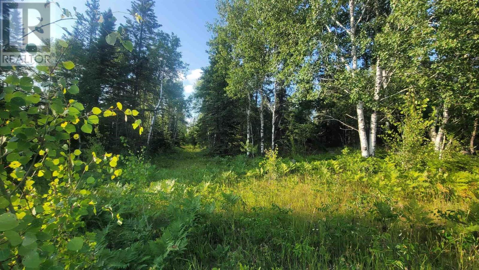 0 Ascough Rd, Kenora, Ontario  P9N 1H4 - Photo 8 - TB2600138