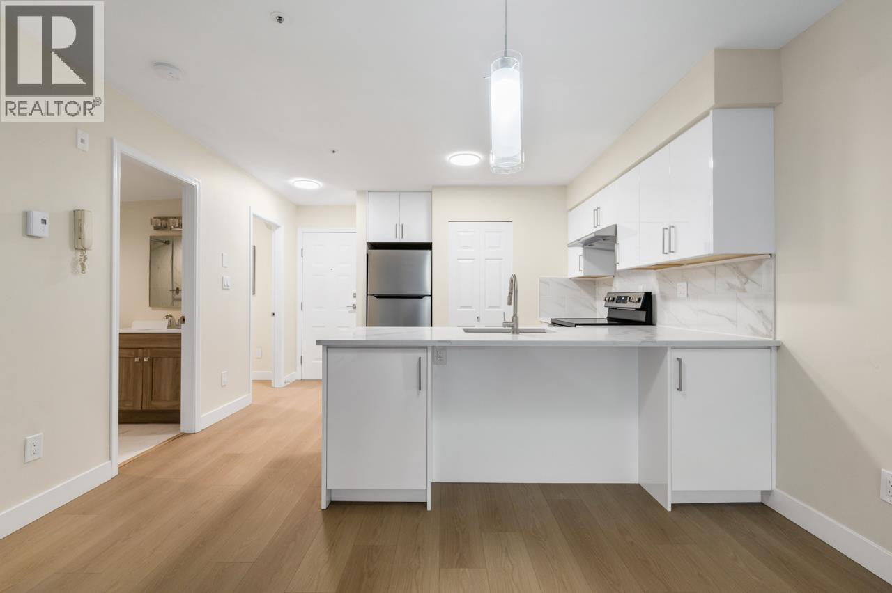 205 1823 E Georgia Street, Vancouver, British Columbia  V5L 2B5 - Photo 1 - R3084108