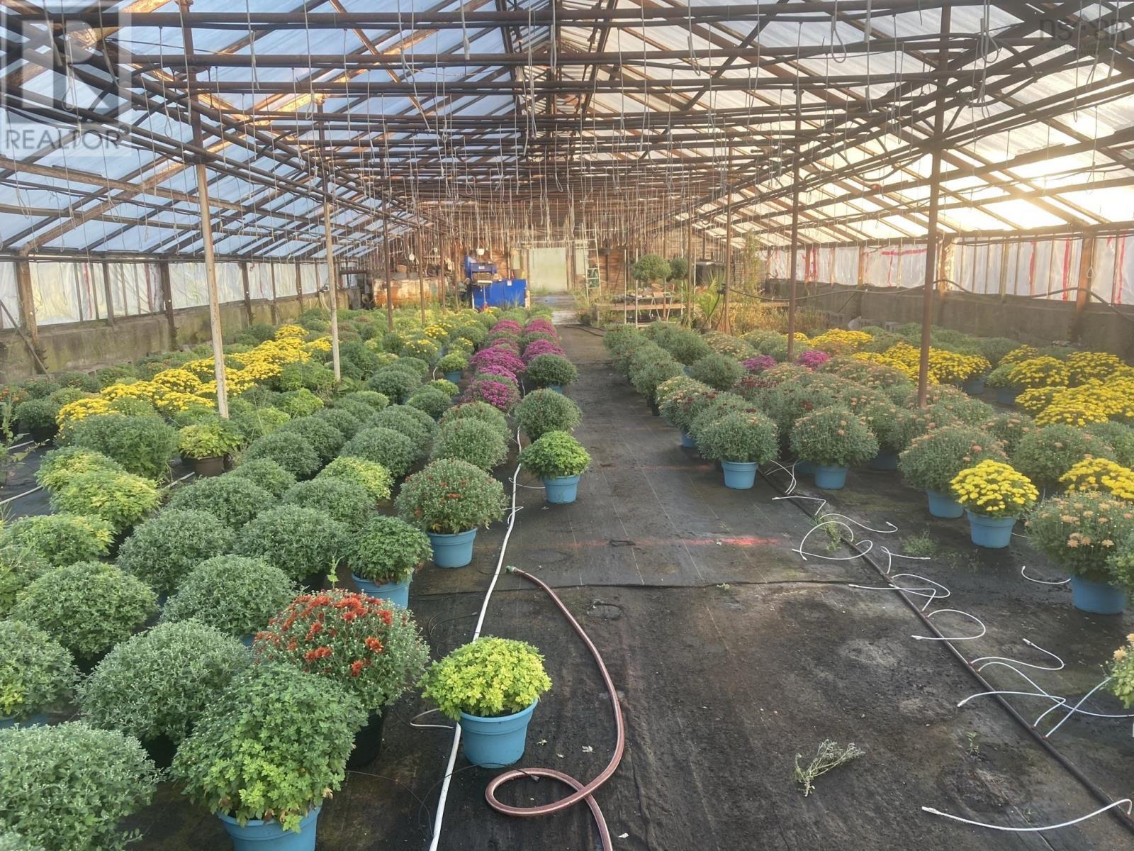 429 Seaview Drive, Upper North Sydney, Nova Scotia  B2A 3N7 - Photo 11 - 202601640