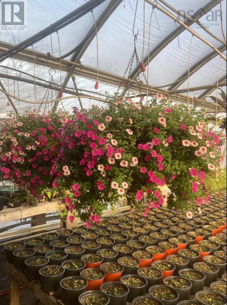 429 Seaview Drive, Upper North Sydney, Nova Scotia  B2A 3N7 - Photo 17 - 202601640