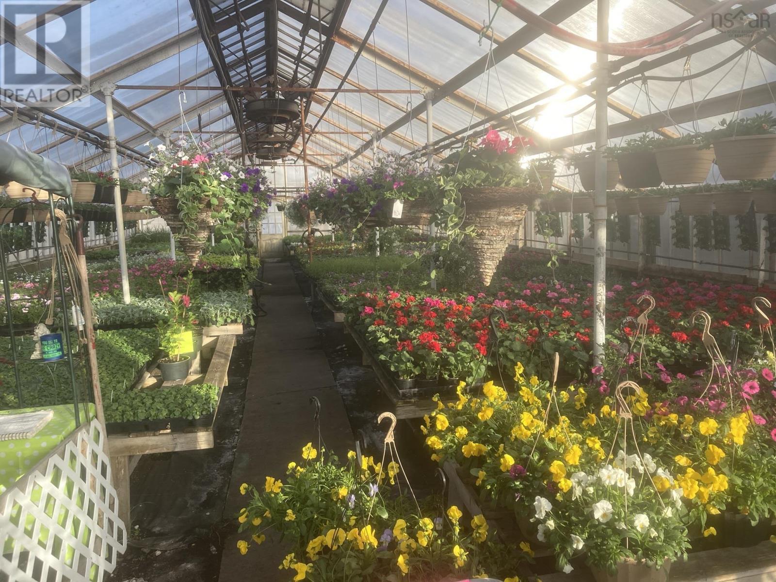 429 Seaview Drive, Upper North Sydney, Nova Scotia  B2A 3N7 - Photo 2 - 202601640