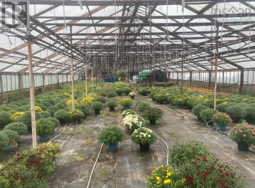 429 Seaview Drive, Upper North Sydney, Nova Scotia  B2A 3N7 - Photo 22 - 202601640