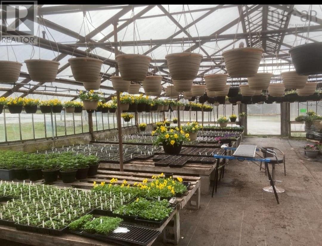 429 Seaview Drive, Upper North Sydney, Nova Scotia  B2A 3N7 - Photo 9 - 202601640