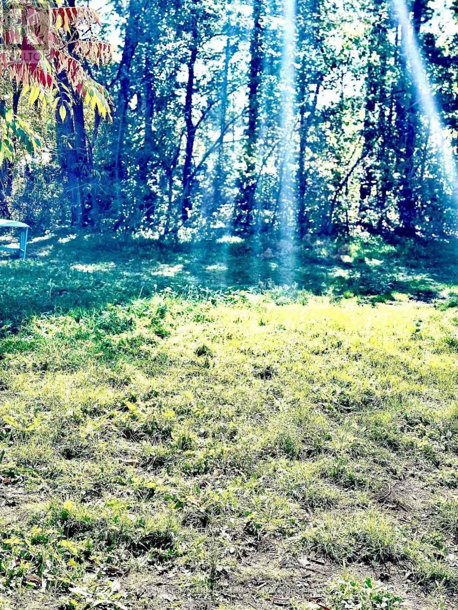 2 Oakwood Drive, Kawartha Lakes, Ontario  K0M 1N0 - Photo 12 - X12736922