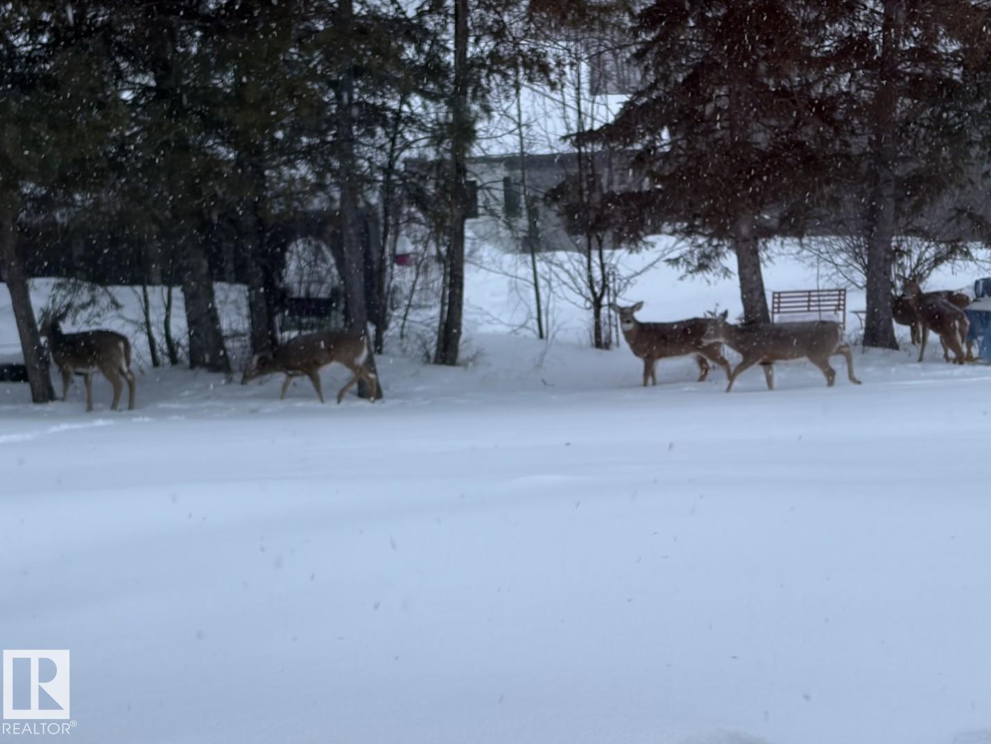 73078 Southshore Dr, Widewater, Alberta  T0G 2M0 - Photo 51 - E4471321