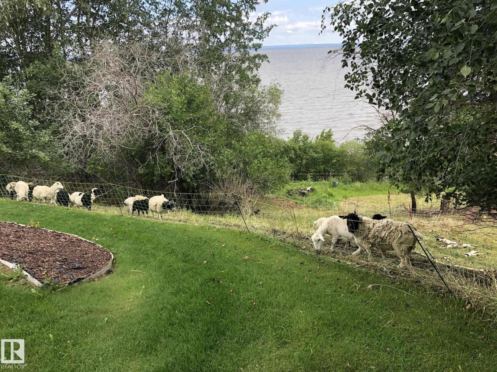 73078 Southshore Dr, Widewater, Alberta  T0G 2M0 - Photo 52 - E4471321