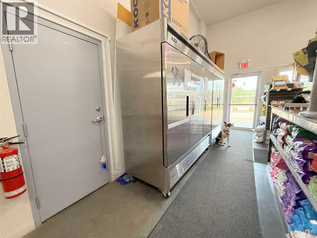 5302 50 Avenue, Athabasca, Alberta  T9S 1G8 - Photo 19 - A2282381