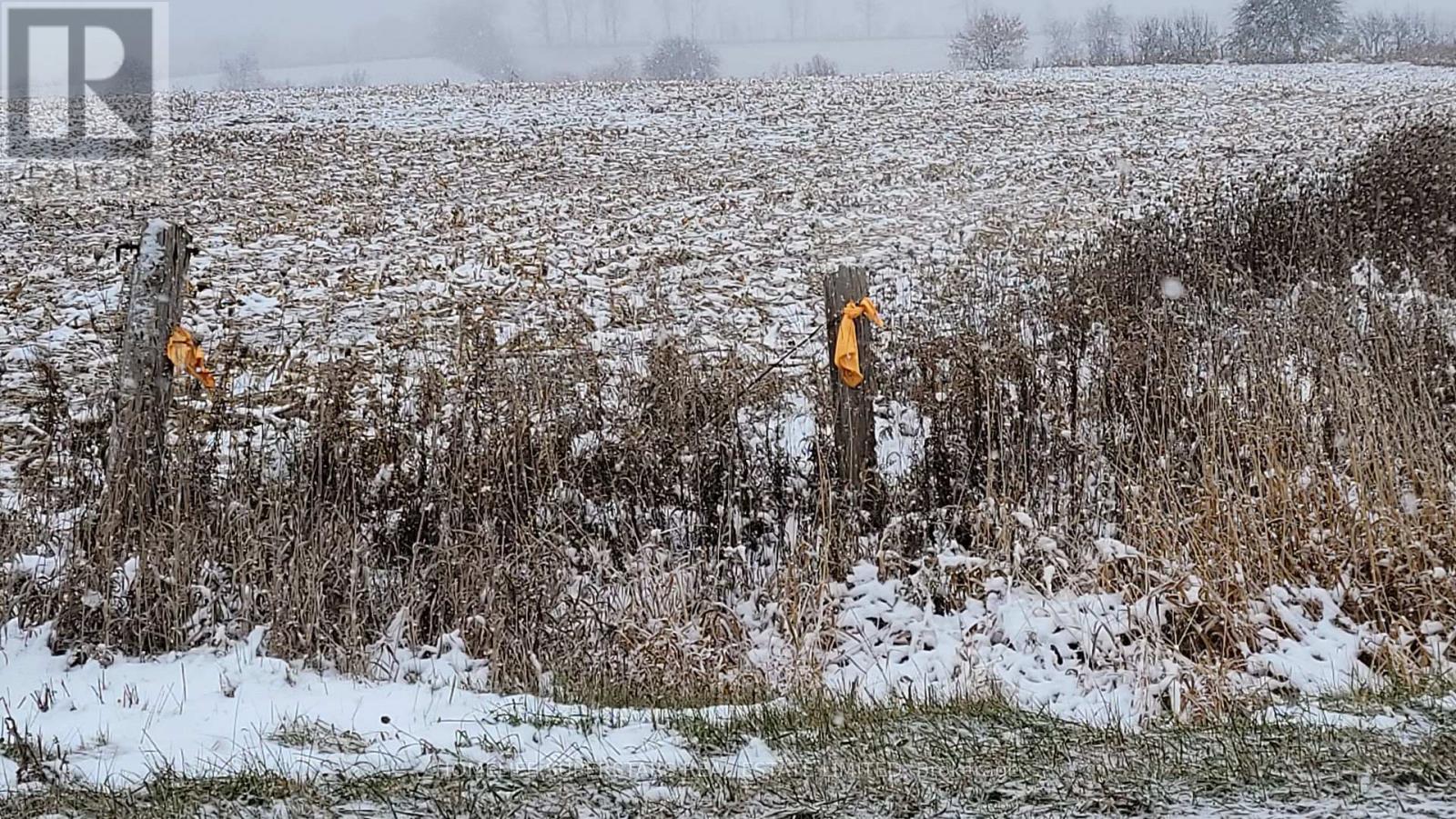 214131 10th Line, Amaranth, Ontario  L9V 1K1 - Photo 10 - X12736958