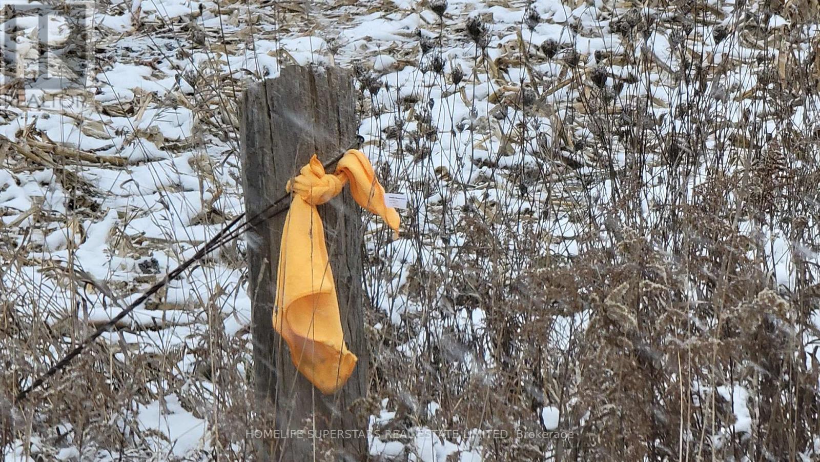 214131 10th Line, Amaranth, Ontario  L9V 1K1 - Photo 11 - X12736958