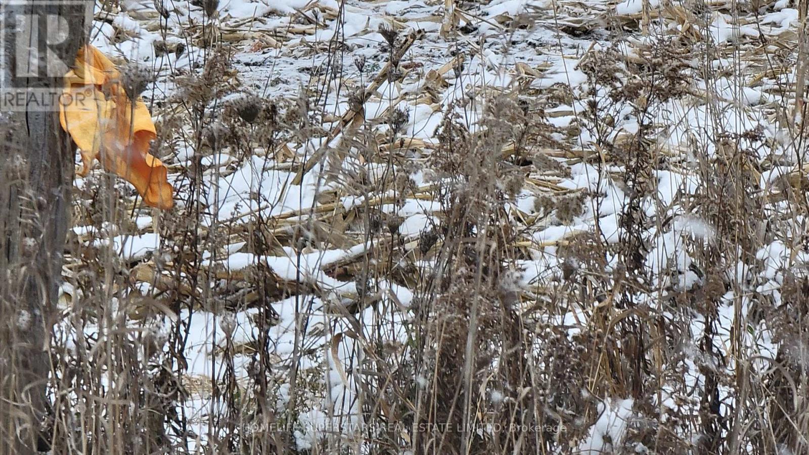 214131 10th Line, Amaranth, Ontario  L9V 1K1 - Photo 12 - X12736958