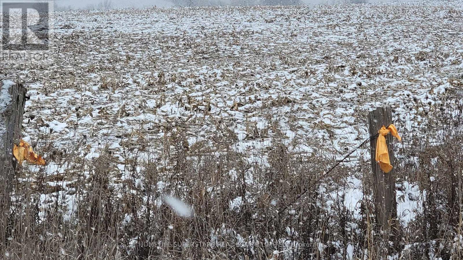 214131 10th Line, Amaranth, Ontario  L9V 1K1 - Photo 15 - X12736958