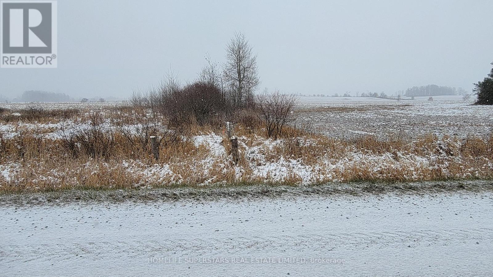 214131 10th Line, Amaranth, Ontario  L9V 1K1 - Photo 17 - X12736958
