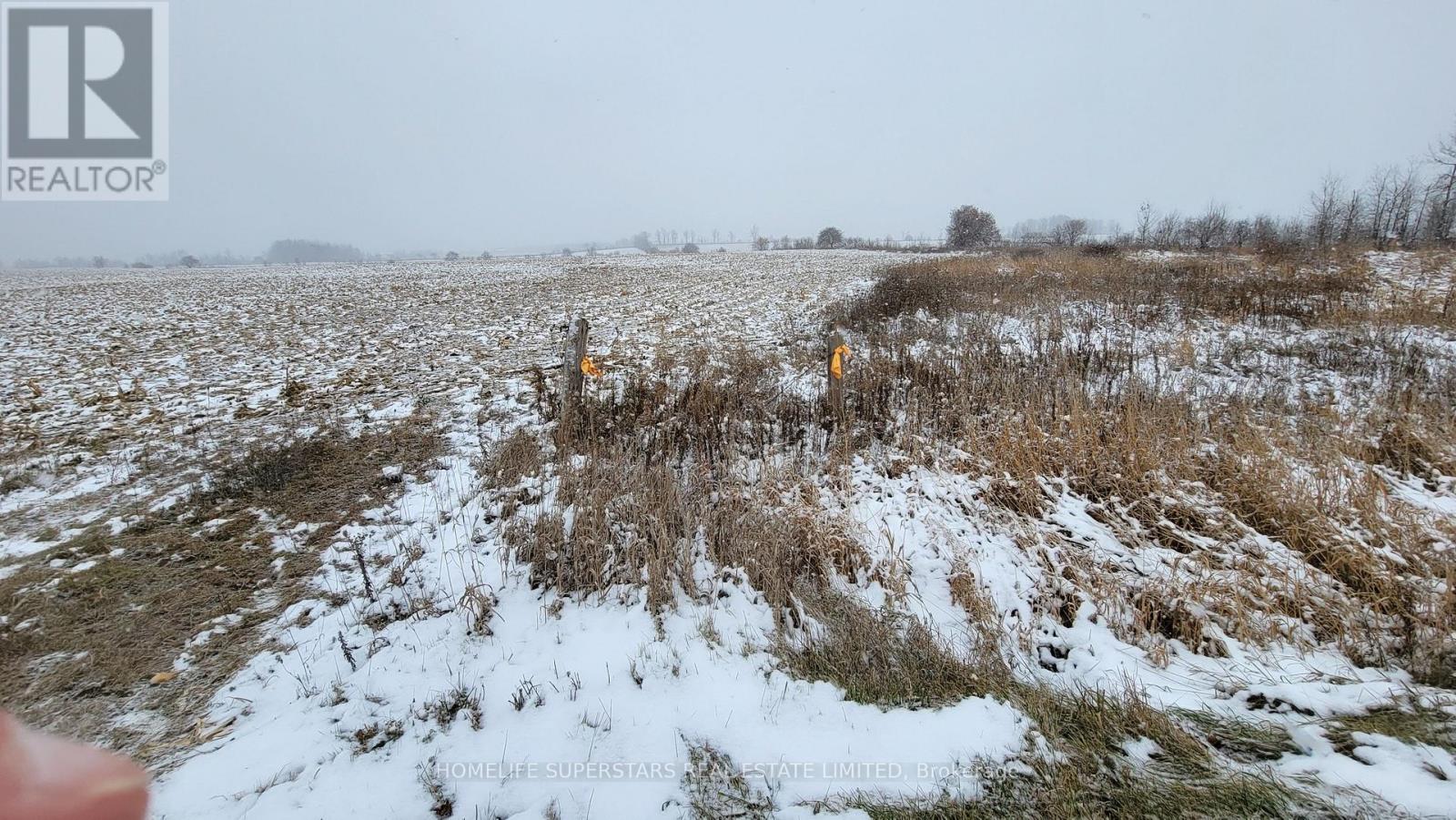 214131 10th Line, Amaranth, Ontario  L9V 1K1 - Photo 21 - X12736958