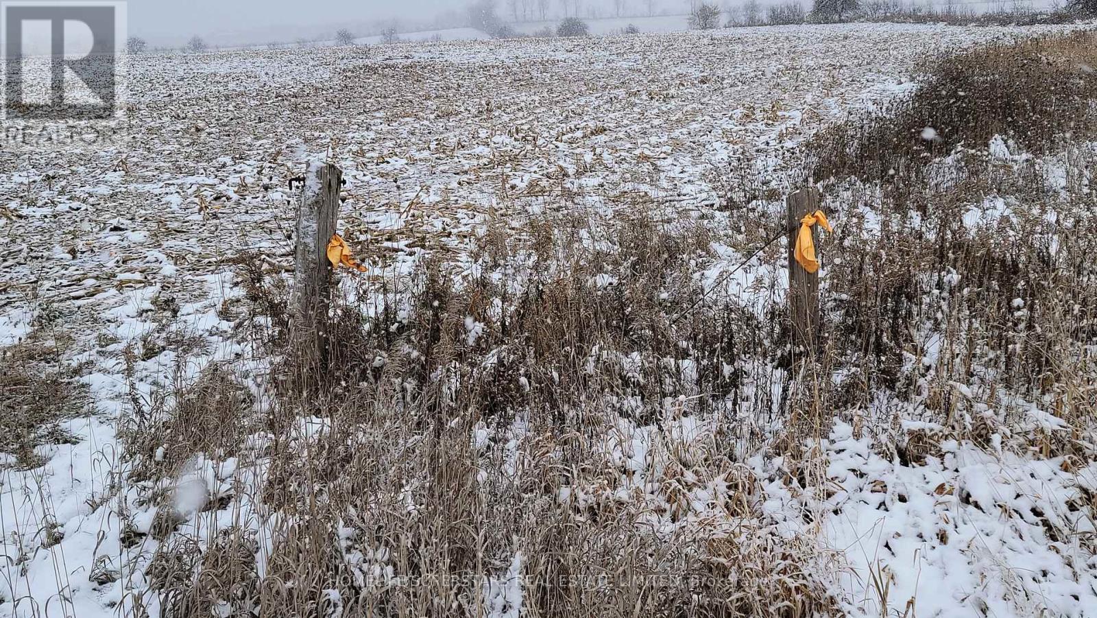 214131 10th Line, Amaranth, Ontario  L9V 1K1 - Photo 23 - X12736958