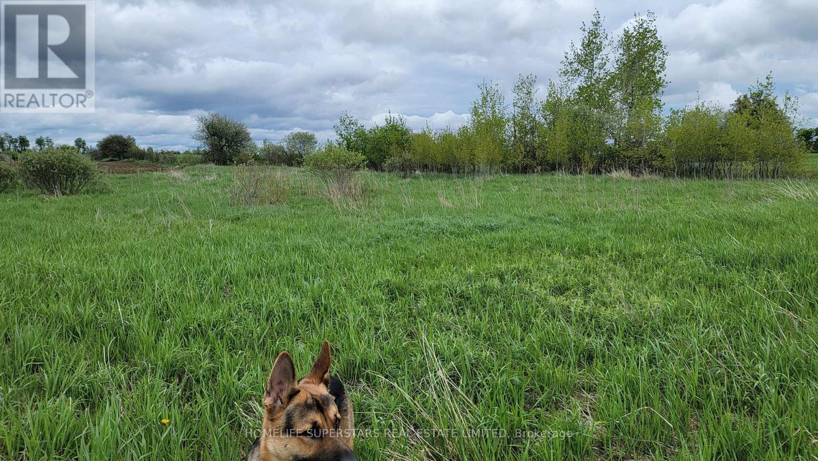 214131 10th Line, Amaranth, Ontario  L9V 1K1 - Photo 7 - X12736958