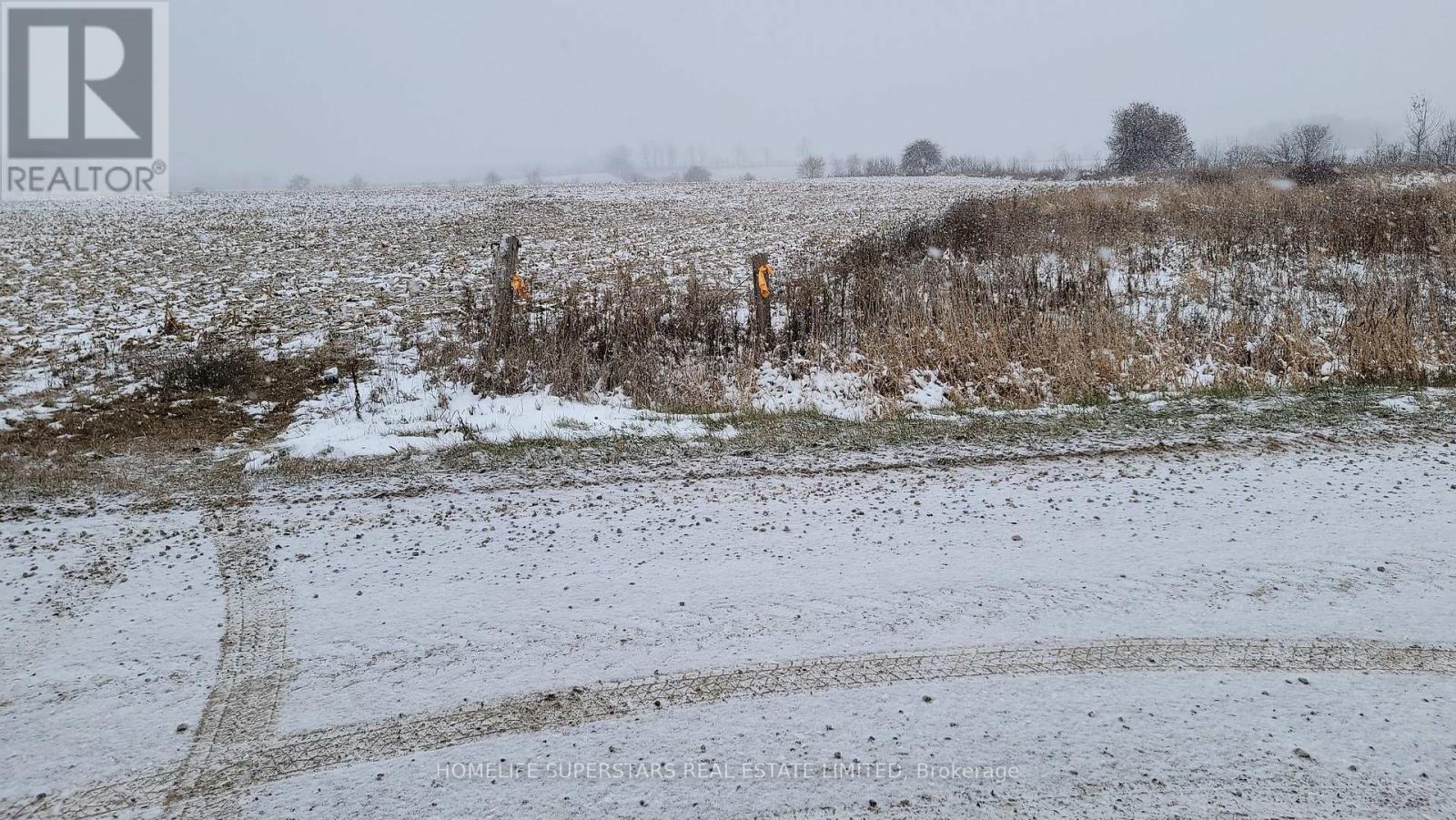 214131 10th Line, Amaranth, Ontario  L9V 1K1 - Photo 8 - X12736958