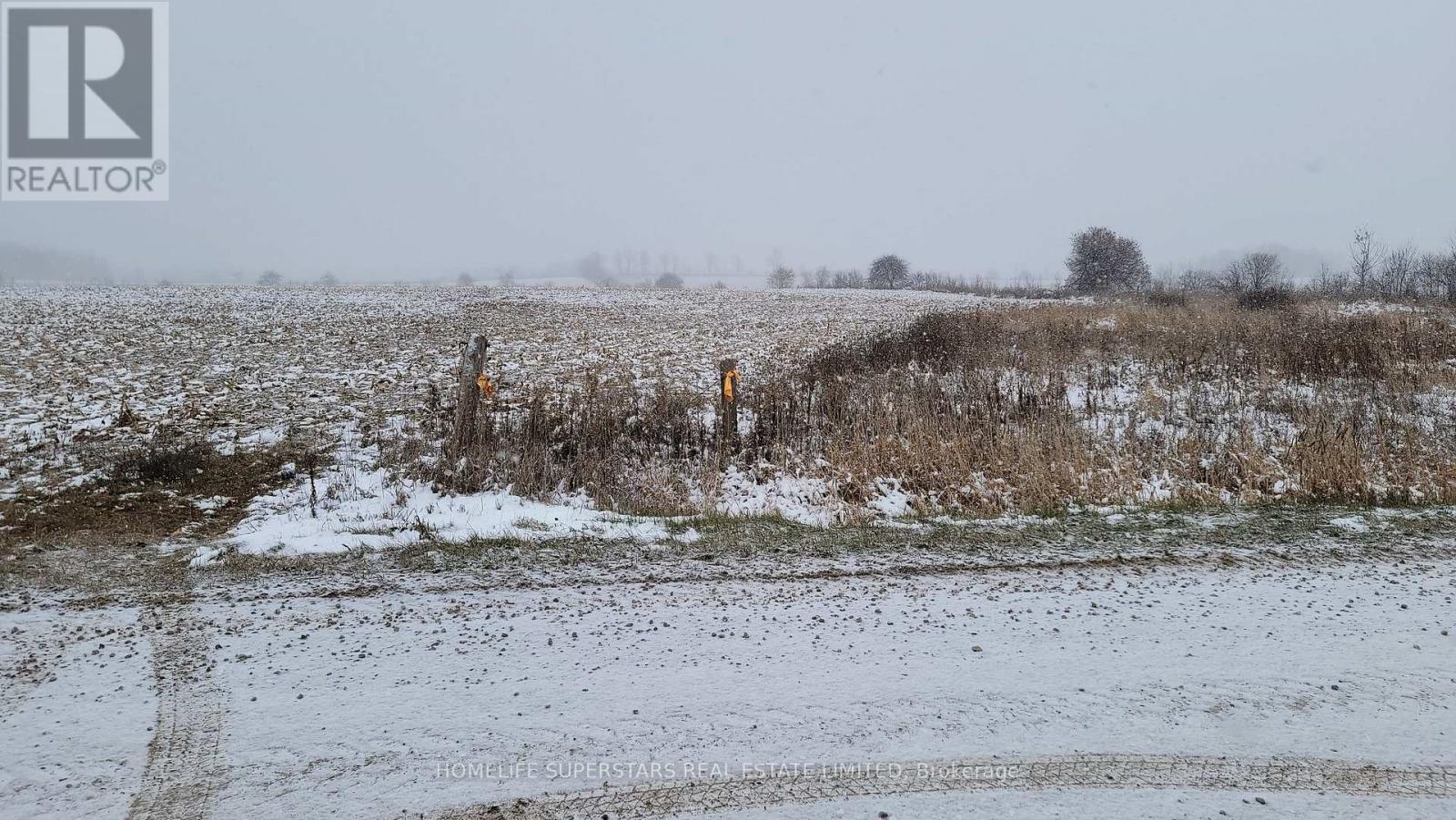 214131 10th Line, Amaranth, Ontario  L9V 1K1 - Photo 9 - X12736958