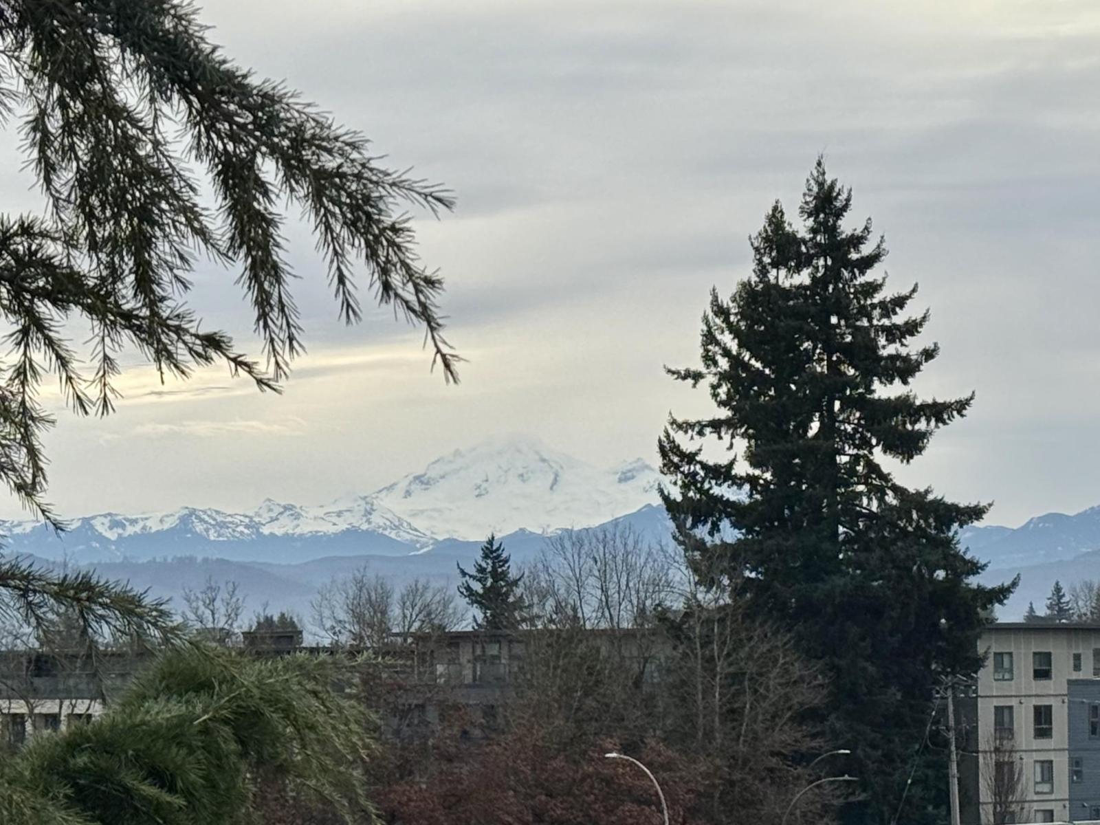 412 32729 Garibaldi Drive, Abbotsford, British Columbia  V2T 0A6 - Photo 33 - R3083815