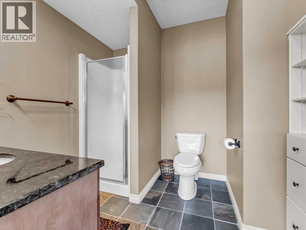 6 Palisades Way Ne, Medicine Hat, Alberta  T1C 2B4 - Photo 43 - A2274095