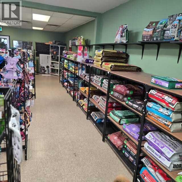 4, 517 10 Avenue, Carstairs, Alberta  T0M 0N0 - Photo 8 - A2282108