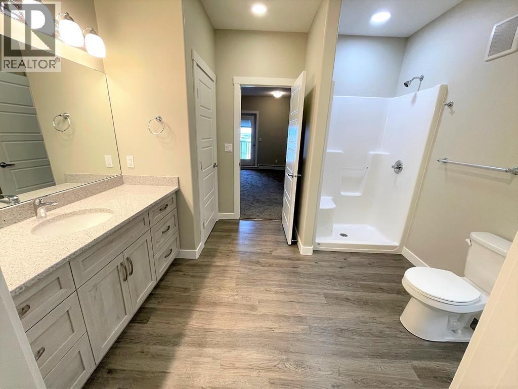 406, 499 Meadowlake Court E, Brooks, Alberta  T1R 0Y7 - Photo 8 - A1196358