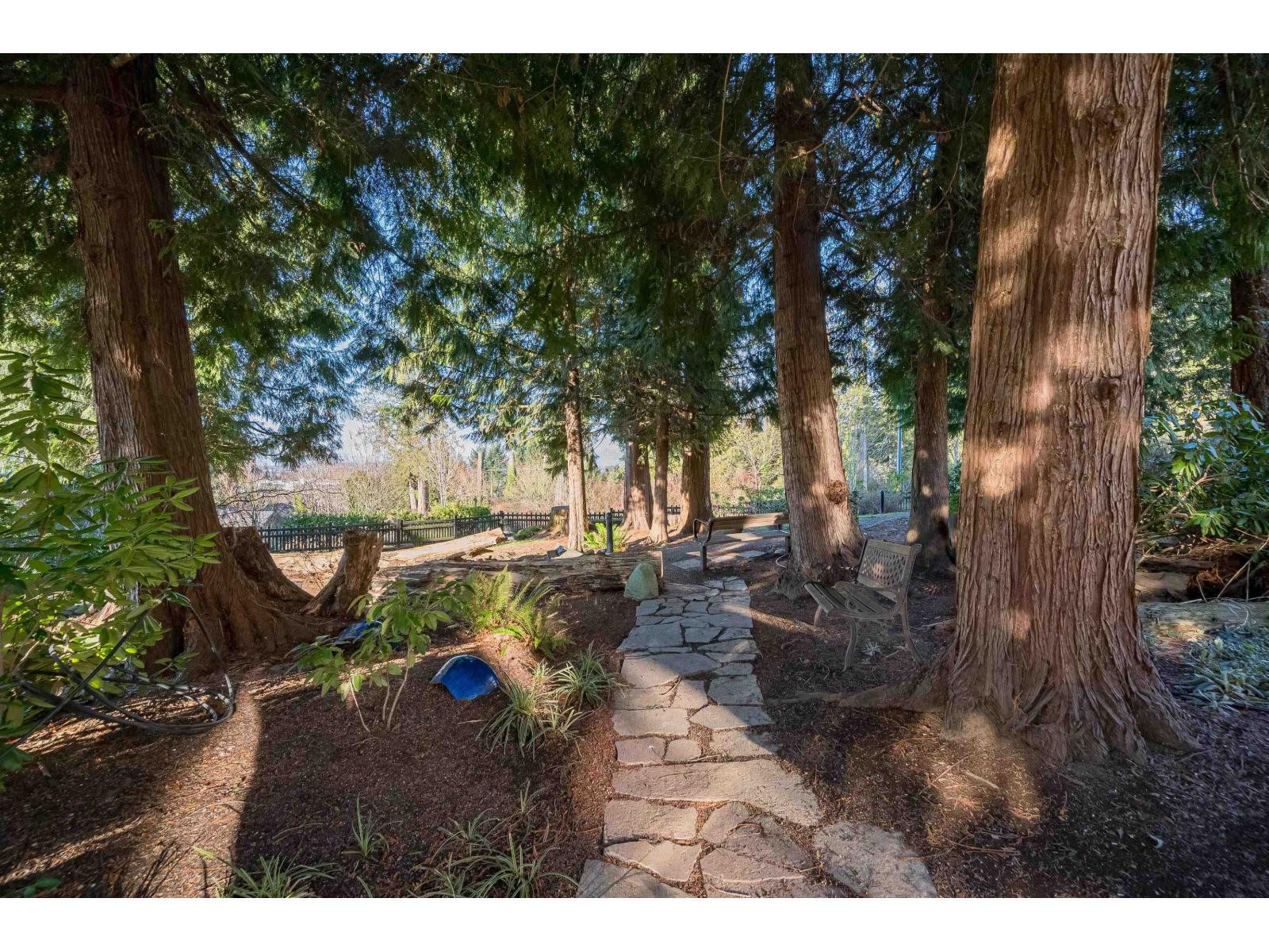 56 4967 220 Street, Langley, British Columbia  V3A 0G3 - Photo 38 - R3084289