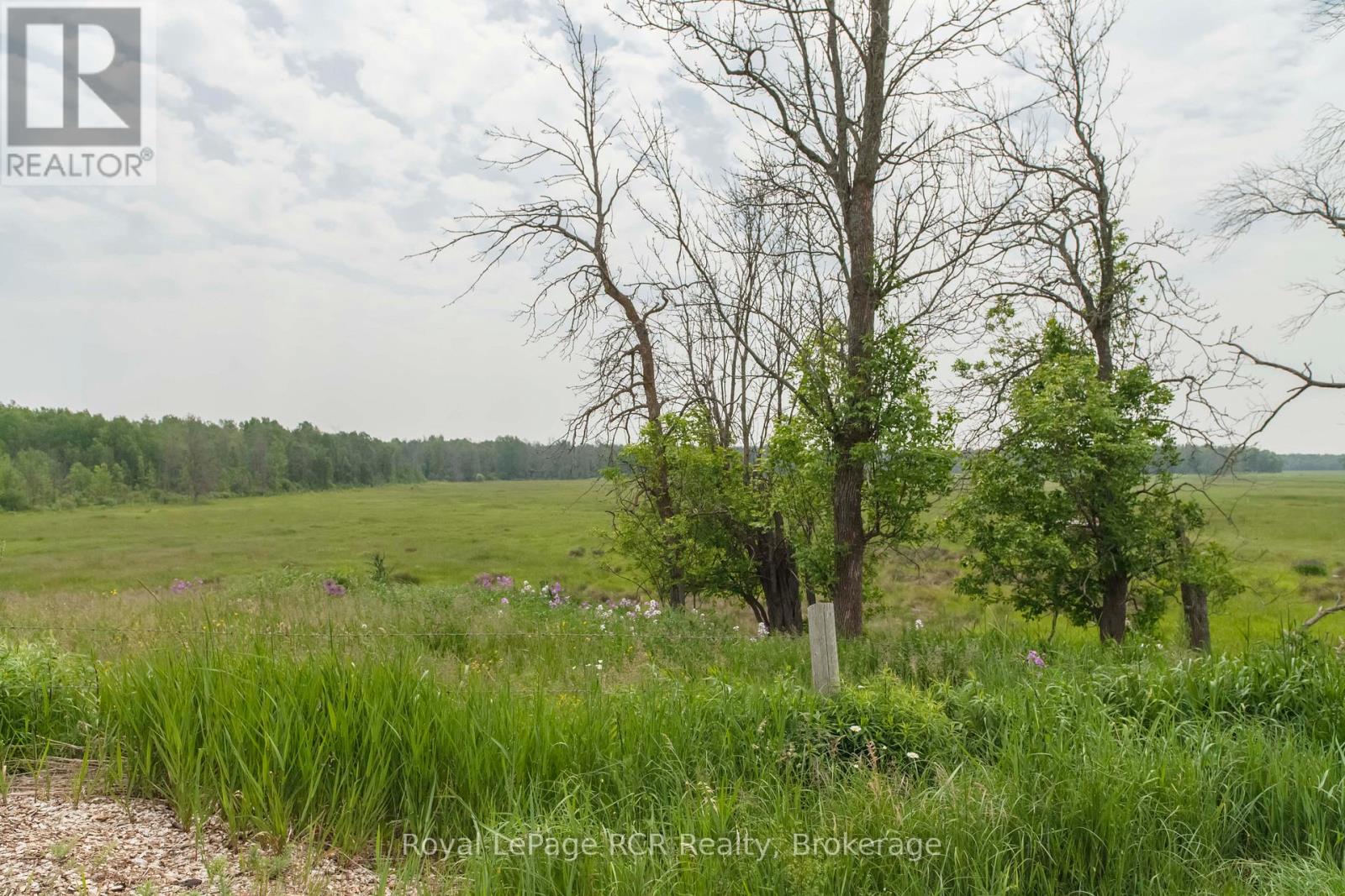 202122 21 Highway, Georgian Bluffs, Ontario  N4K 5N7 - Photo 41 - X12737334