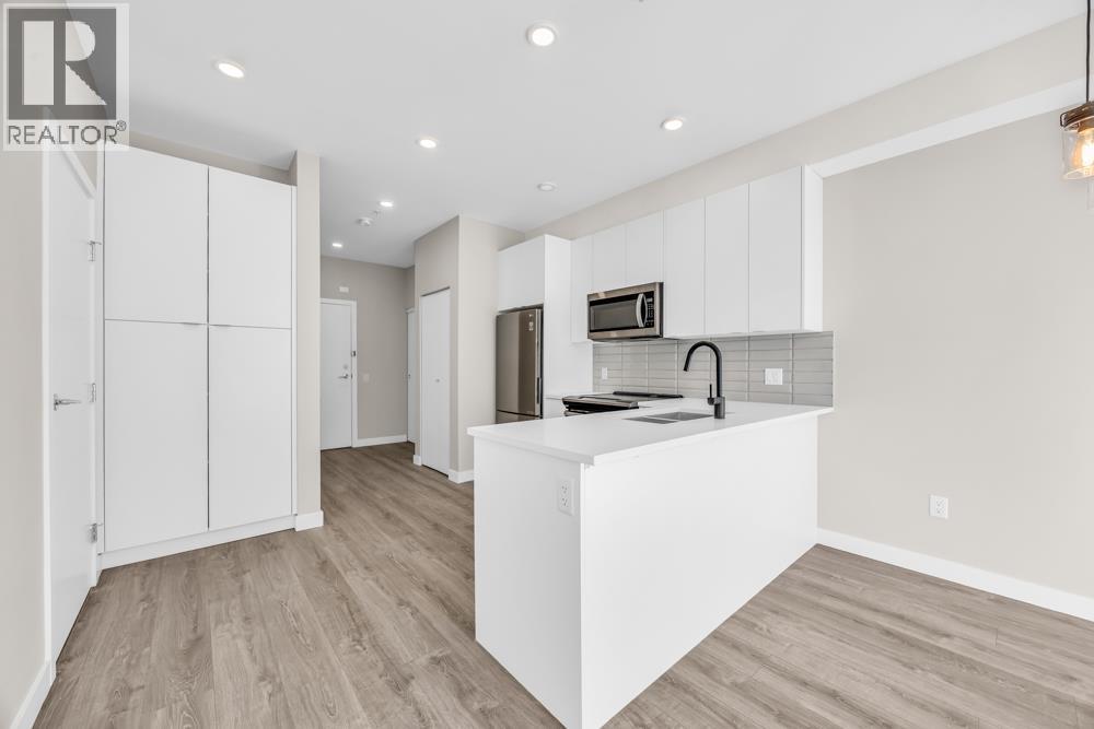 203 610 Brantford Street, New Westminster, British Columbia  V3E 3N2 - Photo 9 - R3084321