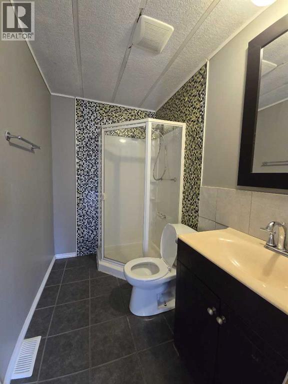 465051 Range Road 41, Winfield, Alberta  T0C 2X0 - Photo 30 - A2269386