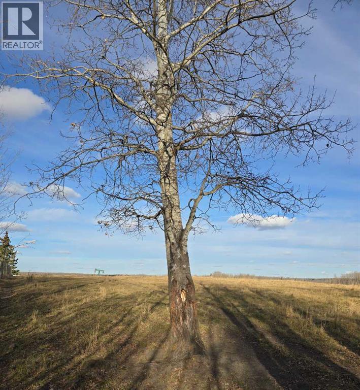 465051 Range Road 41, Winfield, Alberta  T0C 2X0 - Photo 24 - A2269386