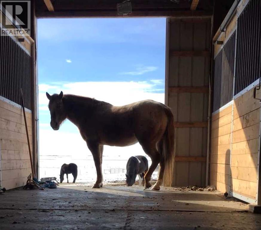 250043 Range Road 255, Rural Wheatland County, Alberta  T1P 0H9 - Photo 6 - A2279877