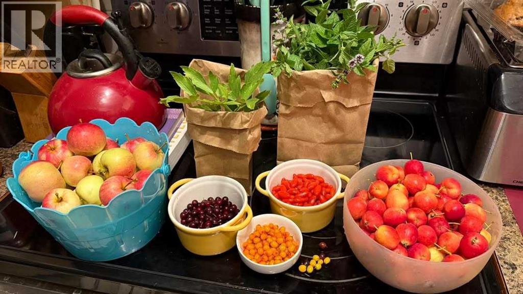 250043 Range Road 255, Rural Wheatland County, Alberta  T1P 0H9 - Photo 50 - A2279877