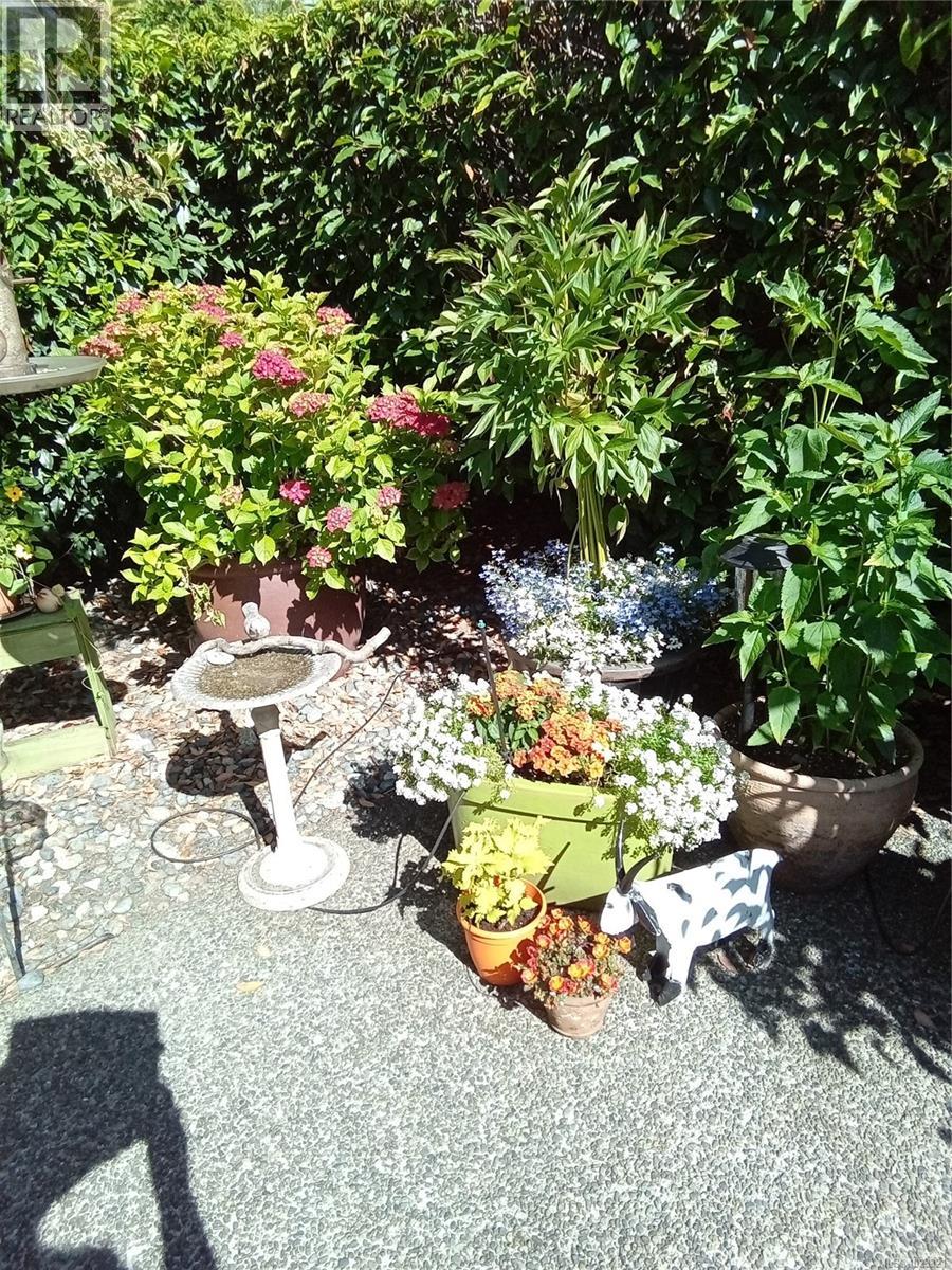 7952 Polo Park Cres, Central Saanich, British Columbia  V8M 2J4 - Photo 35 - 1023321