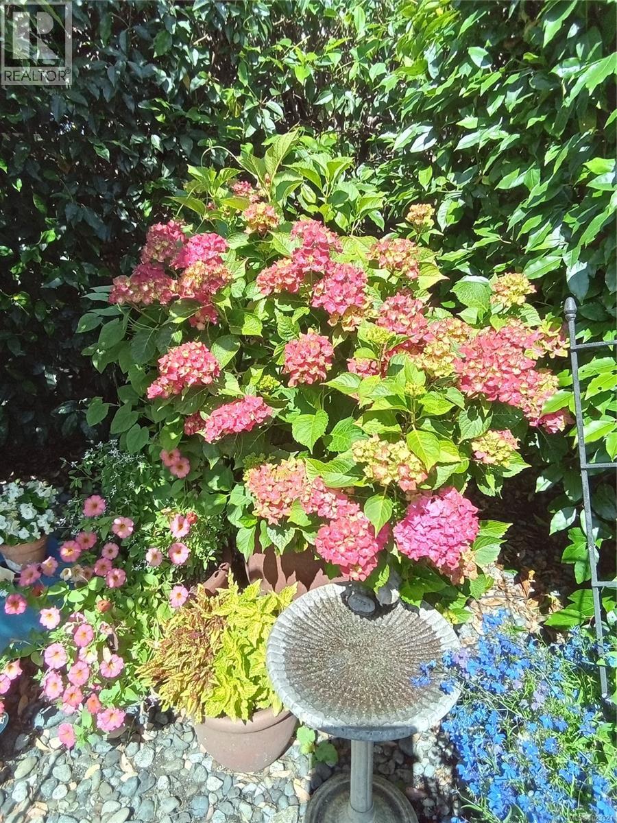 7952 Polo Park Cres, Central Saanich, British Columbia  V8M 2J4 - Photo 37 - 1023321