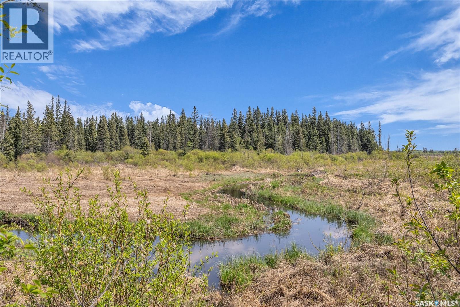 Twin Creek Ranch, Canwood Rm No. 494, Saskatchewan  S0J 1X0 - Photo 30 - SK027547