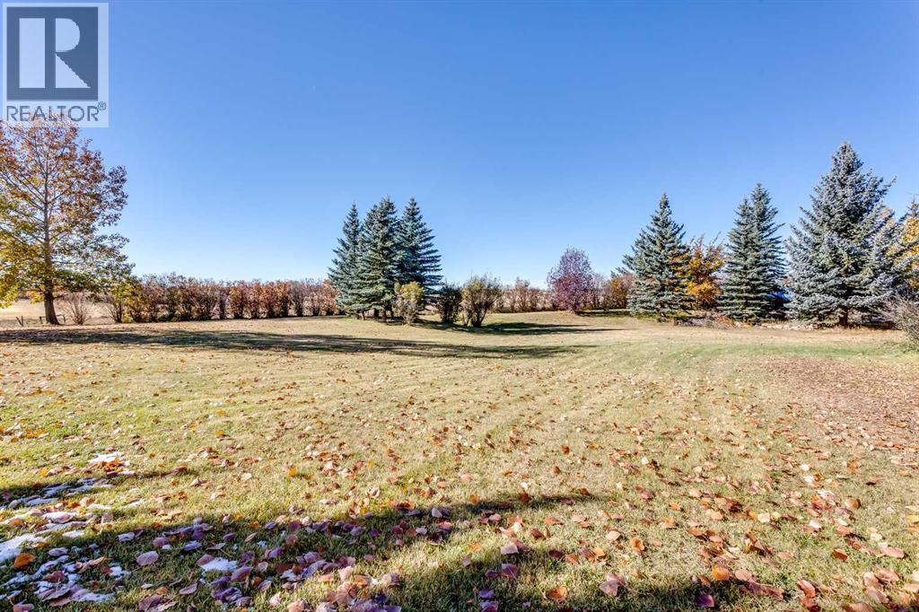 274413 1016 Drive E, Rural Foothills County, Alberta  T1S 7B1 - Photo 12 - A2280229