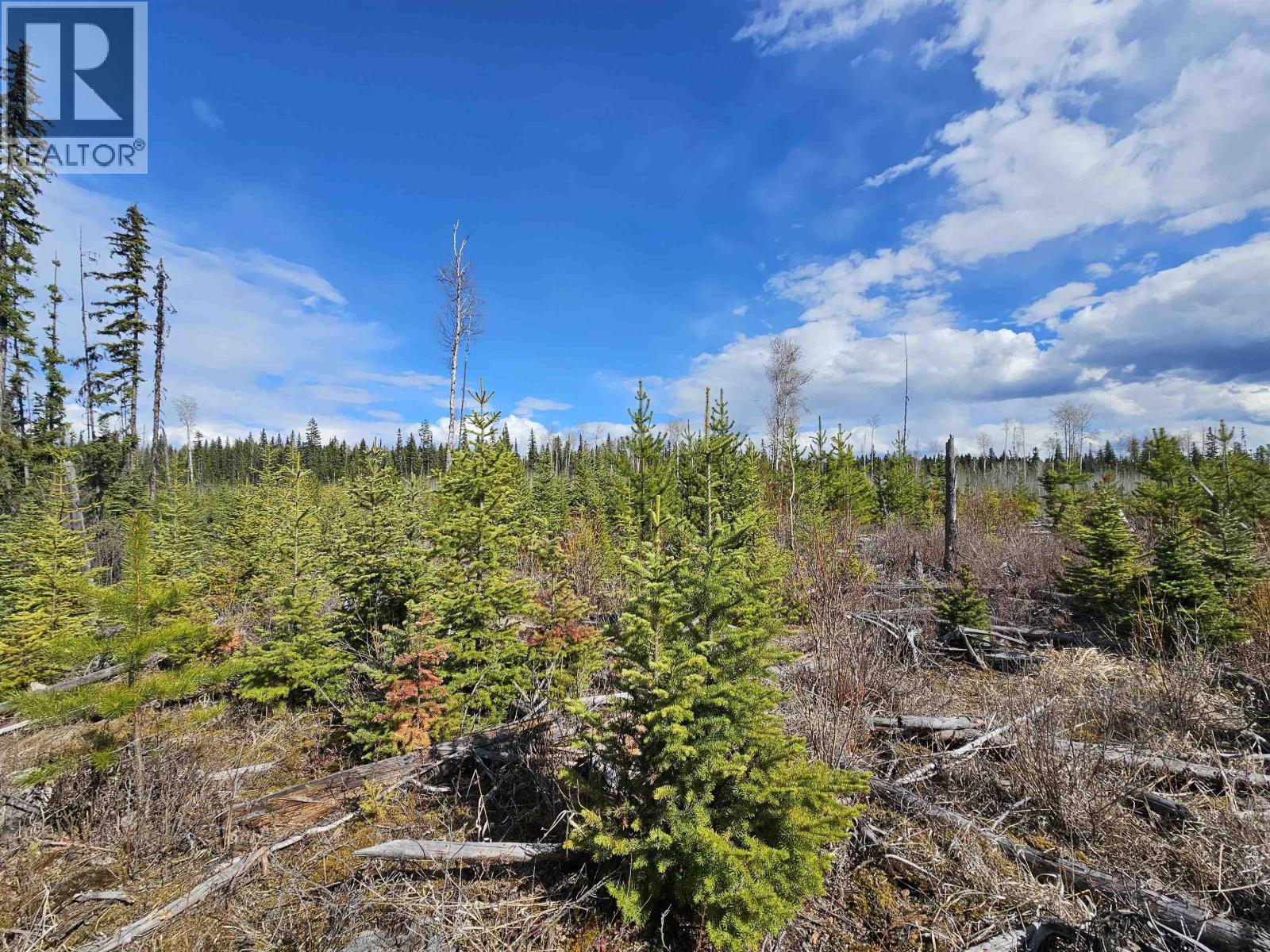 Dl 1967 Willow Cale Fs Road, Prince George, British Columbia  V2N 7A8 - Photo 5 - R2995748