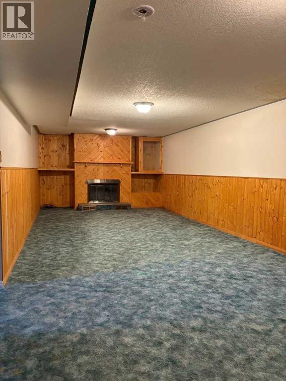 100 Balaclava Street, Veteran, Alberta  T0C 2S0 - Photo 21 - A2282340