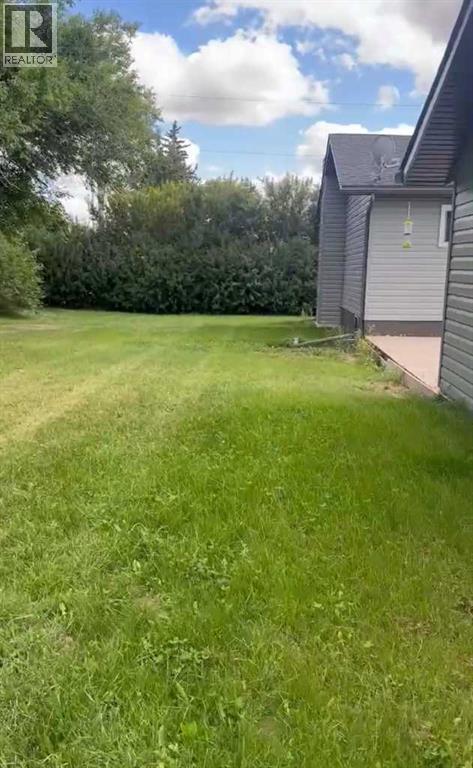 100 Balaclava Street, Veteran, Alberta  T0C 2S0 - Photo 34 - A2282340