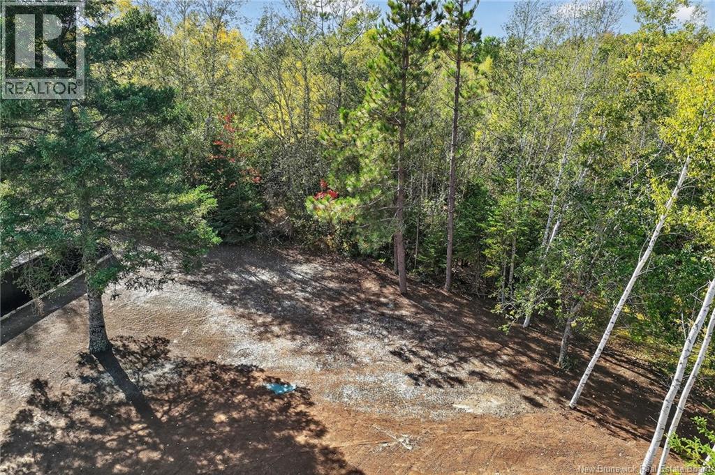 141 Cartier, Shediac, New Brunswick  E4P 1L3 - Photo 5 - NB131492